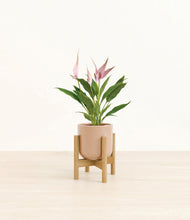 Load image into Gallery viewer, Glossy Pink stand:bamboo