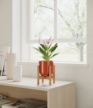 Load image into Gallery viewer, Glossy Red stand:bamboo