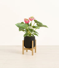 Load image into Gallery viewer, Black stand:bamboo