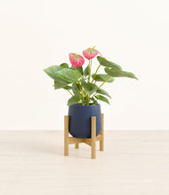 Load image into Gallery viewer, Deep Navy stand:bamboo