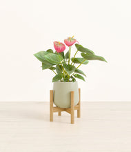 Load image into Gallery viewer, Turquoise stand:bamboo