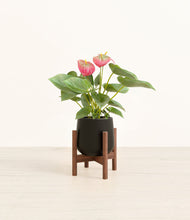 Load image into Gallery viewer, Black stand:walnut