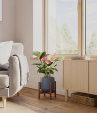 Load image into Gallery viewer, Deep Navy stand:walnut