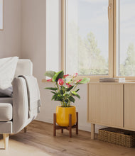 Load image into Gallery viewer, Mustard stand:walnut