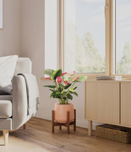 Load image into Gallery viewer, Calm Rose stand:walnut