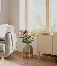 Load image into Gallery viewer, Olive stand:bamboo