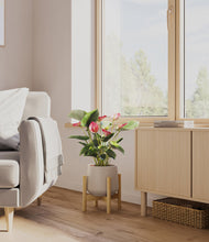 Load image into Gallery viewer, Eternal Gray stand:bamboo