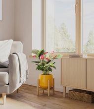 Load image into Gallery viewer, Mustard stand:bamboo