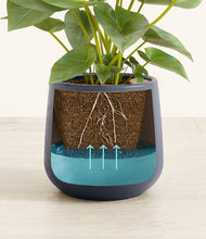 Load image into Gallery viewer, Deep Navy