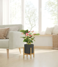 Load image into Gallery viewer, Dark Olive stand:bamboo