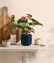 Load image into Gallery viewer, Twilight Blue