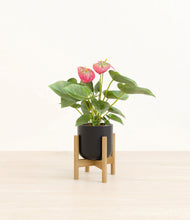 Load image into Gallery viewer, Stone Black stand:bamboo