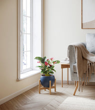 Load image into Gallery viewer, Deep Navy stand:bamboo