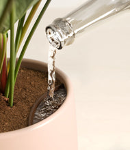 Load image into Gallery viewer, Gentle Pink stand:all