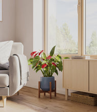 Load image into Gallery viewer, Deep Navy stand:walnut