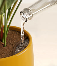 Load image into Gallery viewer, Mustard stand:all