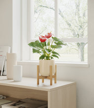 Load image into Gallery viewer, Almond Green stand:bamboo