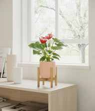Load image into Gallery viewer, Gentle Pink stand:bamboo