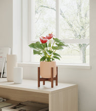 Load image into Gallery viewer, Gentle Pink stand:walnut