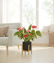 Load image into Gallery viewer, Black stand:bamboo