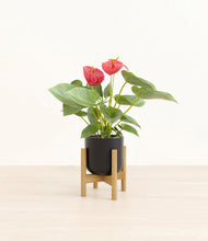 Load image into Gallery viewer, Stone Black stand:bamboo