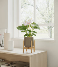 Load image into Gallery viewer, Olive stand:bamboo