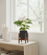 Load image into Gallery viewer, Black stand:walnut