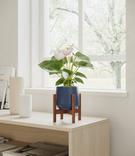Load image into Gallery viewer, Deep Navy stand:walnut