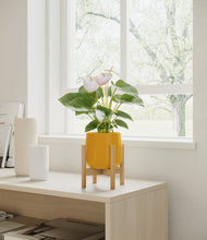 Load image into Gallery viewer, Mustard stand:bamboo