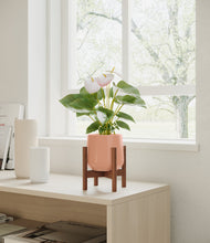 Load image into Gallery viewer, Calm Rose stand:walnut