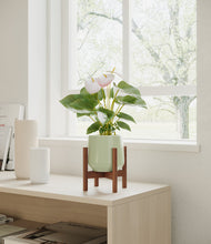 Load image into Gallery viewer, Turquoise stand:walnut