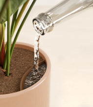 Load image into Gallery viewer, Glossy Pink stand:all