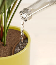 Load image into Gallery viewer, Key Lime Yellow stand:all