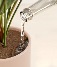 Load image into Gallery viewer, Sandy Pink stand:all