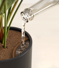 Load image into Gallery viewer, Stone Black stand:all