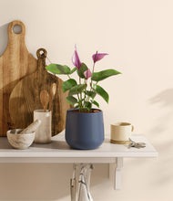 Load image into Gallery viewer, Deep Navy