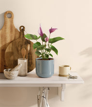 Load image into Gallery viewer, Misty Blue