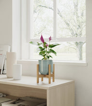 Load image into Gallery viewer, Reactive Aqua stand:bamboo