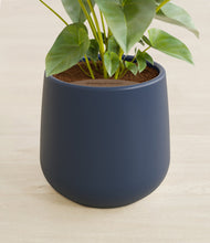 Load image into Gallery viewer, Deep Navy stand:all