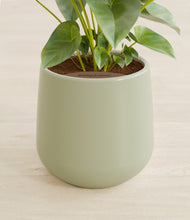 Load image into Gallery viewer, Turquoise stand:all