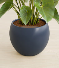 Load image into Gallery viewer, Deep Navy stand:all