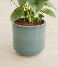 Load image into Gallery viewer, Reactive Aqua stand:all