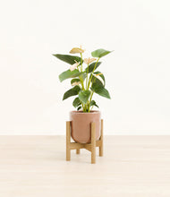 Load image into Gallery viewer, Hammered Peach Pink stand:bamboo