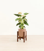 Load image into Gallery viewer, Hammered Peach Pink stand:walnut