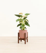 Load image into Gallery viewer, Striped Rose Pink stand:walnut