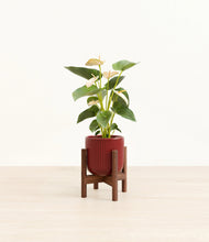 Load image into Gallery viewer, Striped Cherry Red stand:walnut