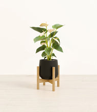Load image into Gallery viewer, Black stand:bamboo