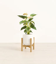 Load image into Gallery viewer, White stand:bamboo