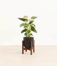 Load image into Gallery viewer, Stone Black stand:walnut