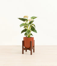 Load image into Gallery viewer, Glossy Red stand:walnut
